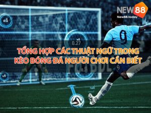 Tổng hợp các thuật ngữ trong kèo bóng đá người chơi cần biết