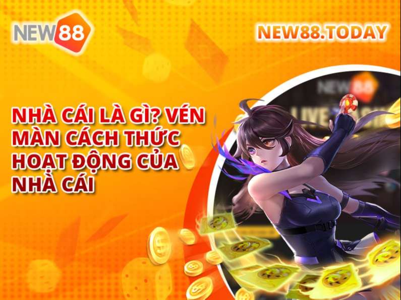 Nhà Cái Là Gì? Vén Màn Cách Thức Hoạt Động Của Nhà Cái